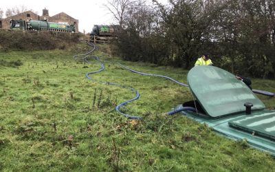 Festive Period